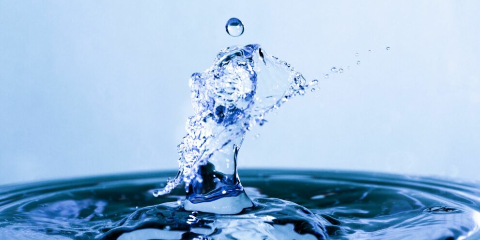 Wasserfilter